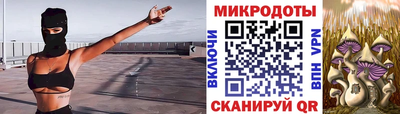 Псилоцибиновые грибы Psilocybine cubensis  Купить  Руза 